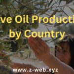Olive Oil Production by Country