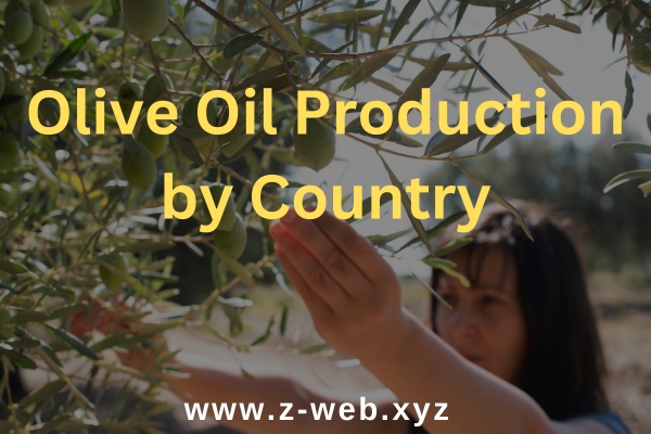 Olive Oil Production by Country